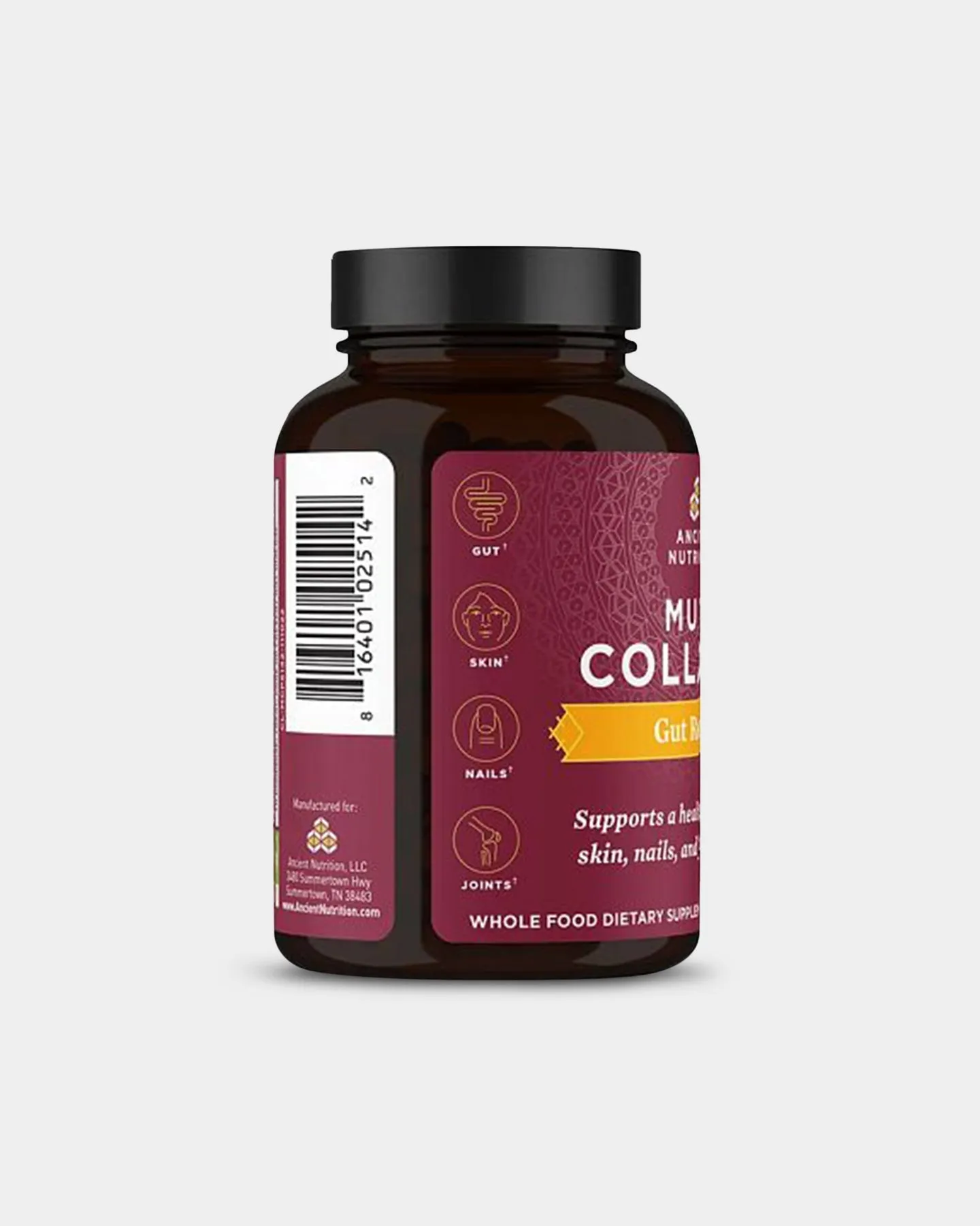 Ancient Nutrition Multi Collagen - Gut Restore